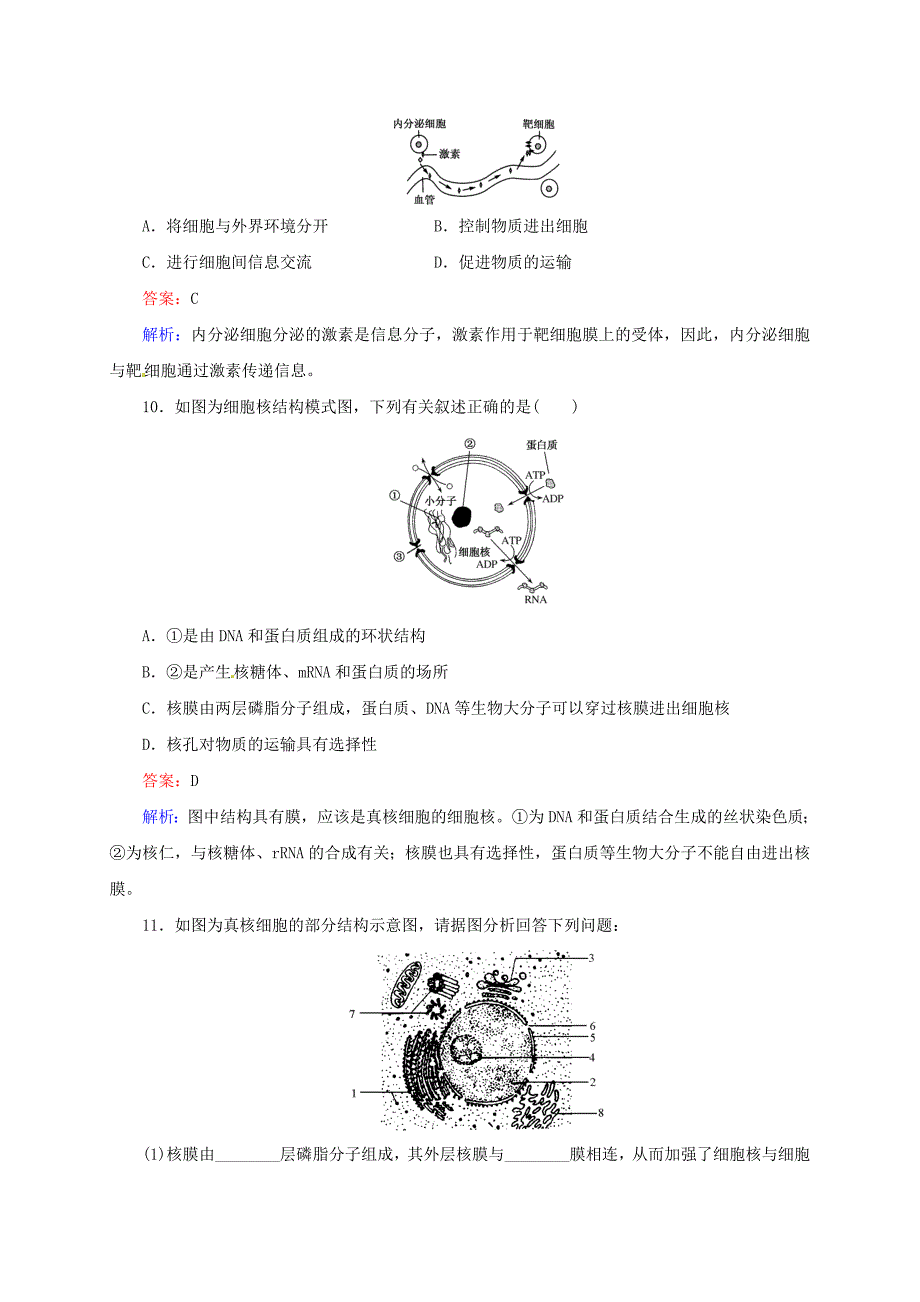 （新课标通用）2014高考生物一轮复习 第5讲 细胞膜与细胞核_第4页