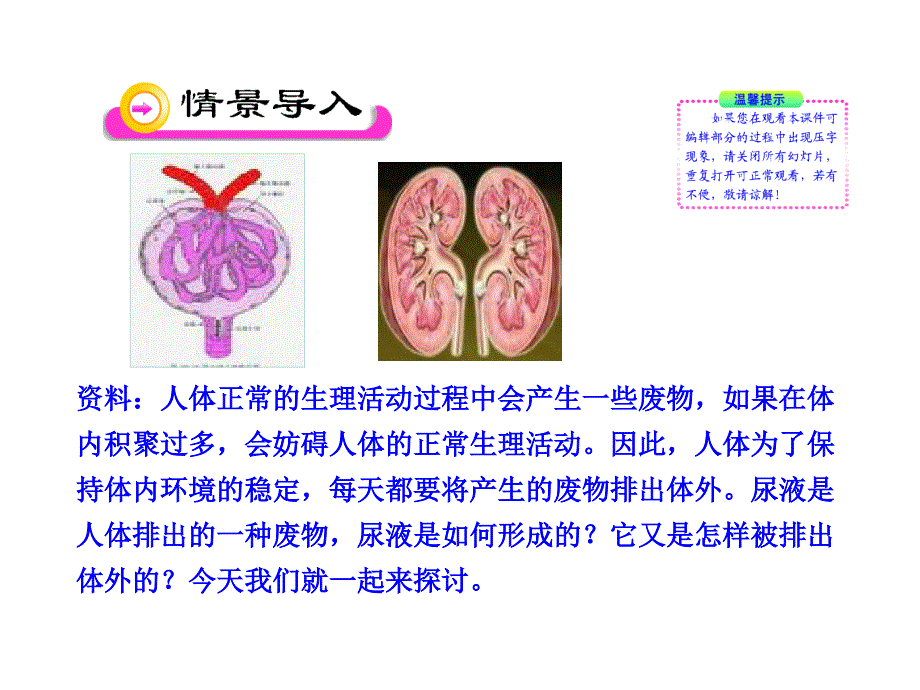 11.1人体泌尿系统的组成 课件 (5).ppt_第2页