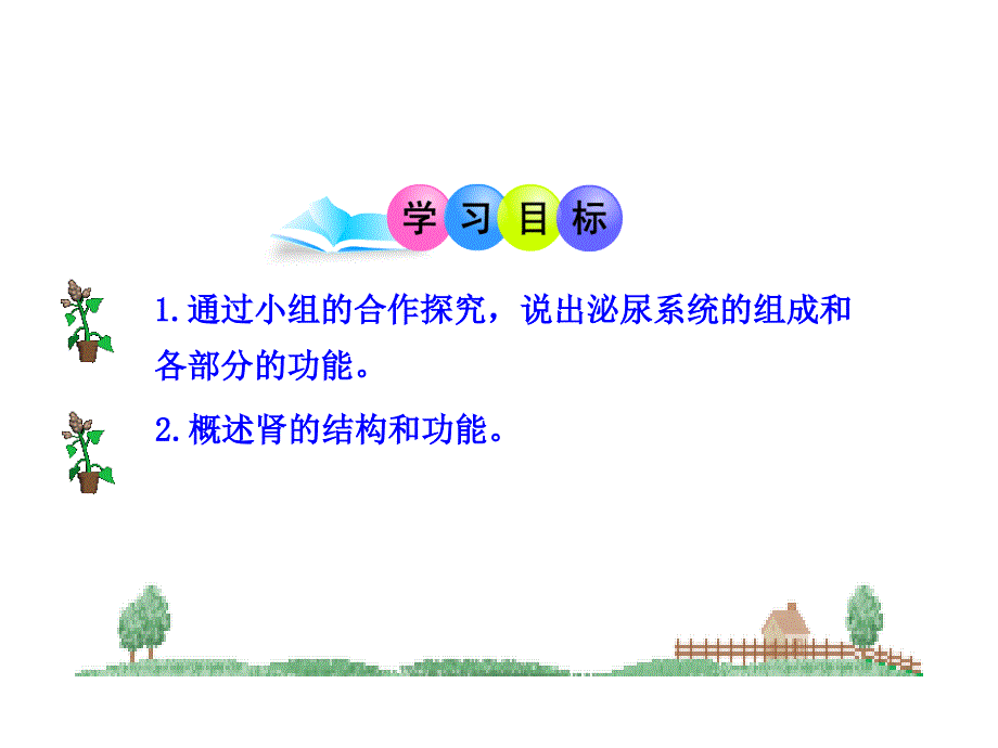 11.1人体泌尿系统的组成 课件 (5).ppt_第3页