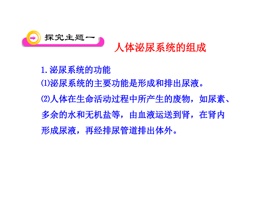 11.1人体泌尿系统的组成 课件 (5).ppt_第4页