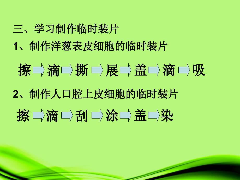 宁夏石嘴山市惠农中学七年级生物 生物体的基本结构课件_第3页