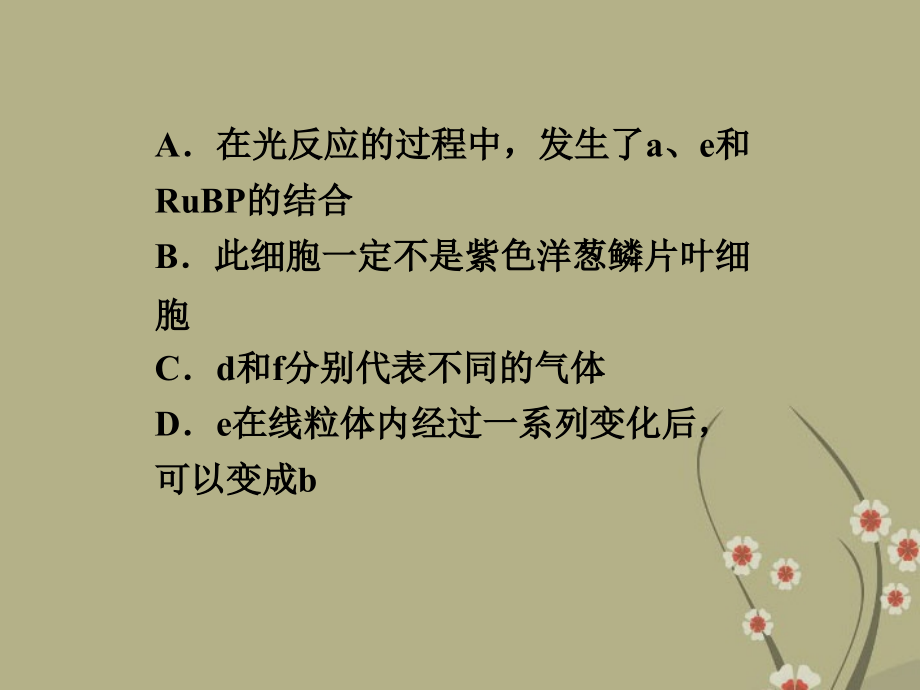 2013届高考生物一轮复习 第三单元 细胞的代谢 单元综合提升课件 浙科版_第3页