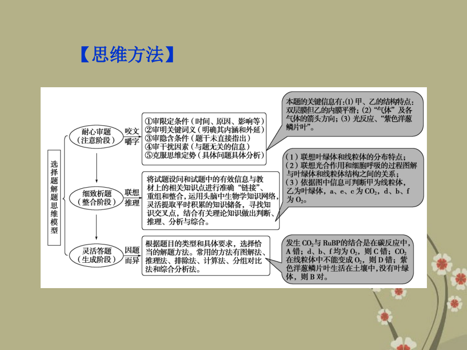 2013届高考生物一轮复习 第三单元 细胞的代谢 单元综合提升课件 浙科版_第4页