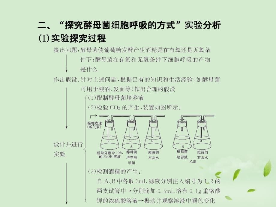 2013高考生物第一轮复习知识拓展 4.16atp的主要来源—细胞呼吸(3)(细胞呼吸原理的应用、探究酵母菌细胞呼吸的方式)课件 新人教版必修1_第5页