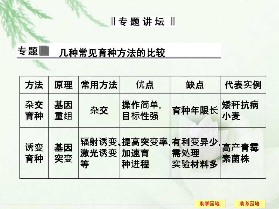 2013年高中生物 章末整合六《从杂交育种到基因工程》同步课件 新人教版必修2_第3页