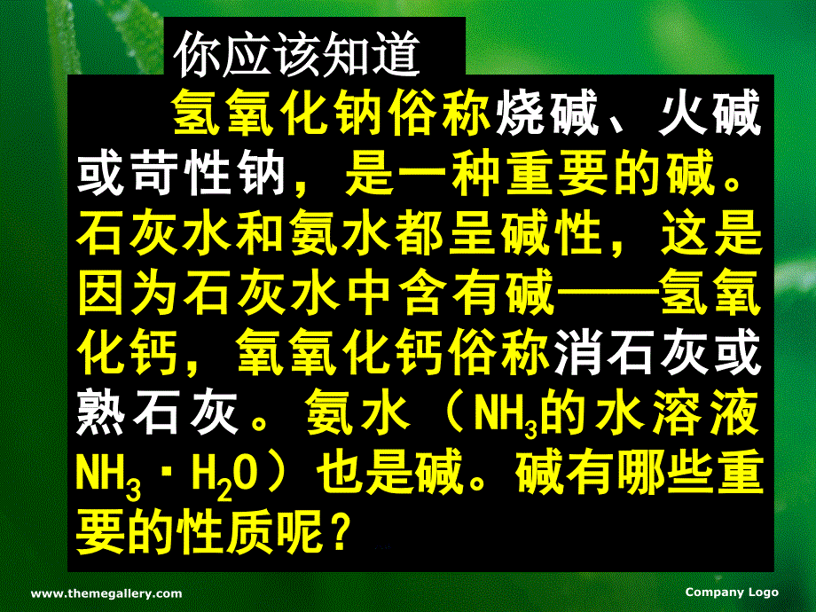 11.1常见的酸和碱 课件6（人教版五四学制九年级全册）.ppt_第3页