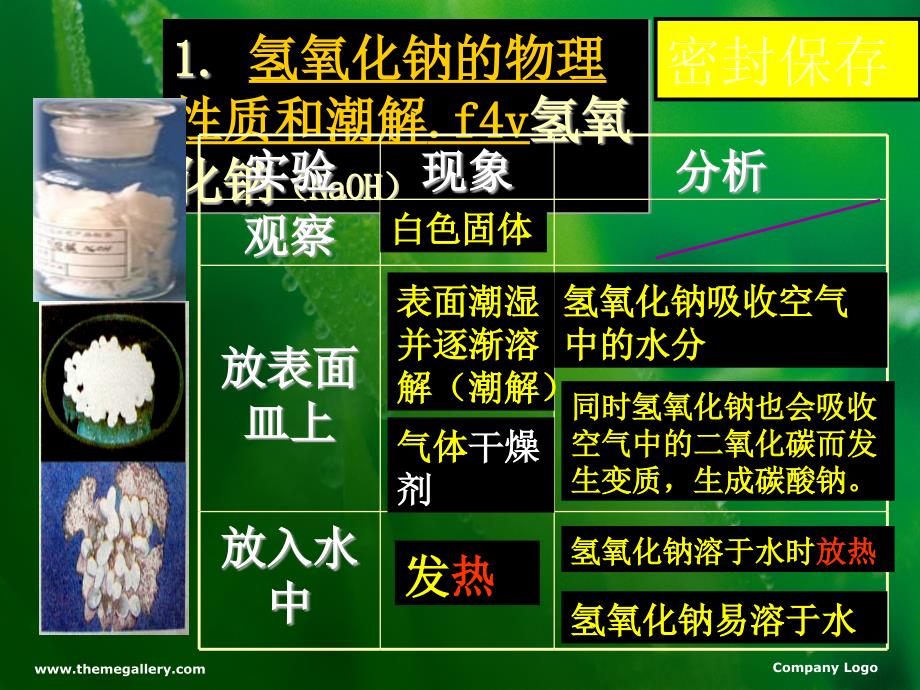 11.1常见的酸和碱 课件6（人教版五四学制九年级全册）.ppt_第4页