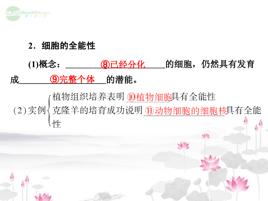 2013届高考生物一轮复习 4-2 细胞的分化、衰老、凋亡和癌变课件 新人教版_第4页