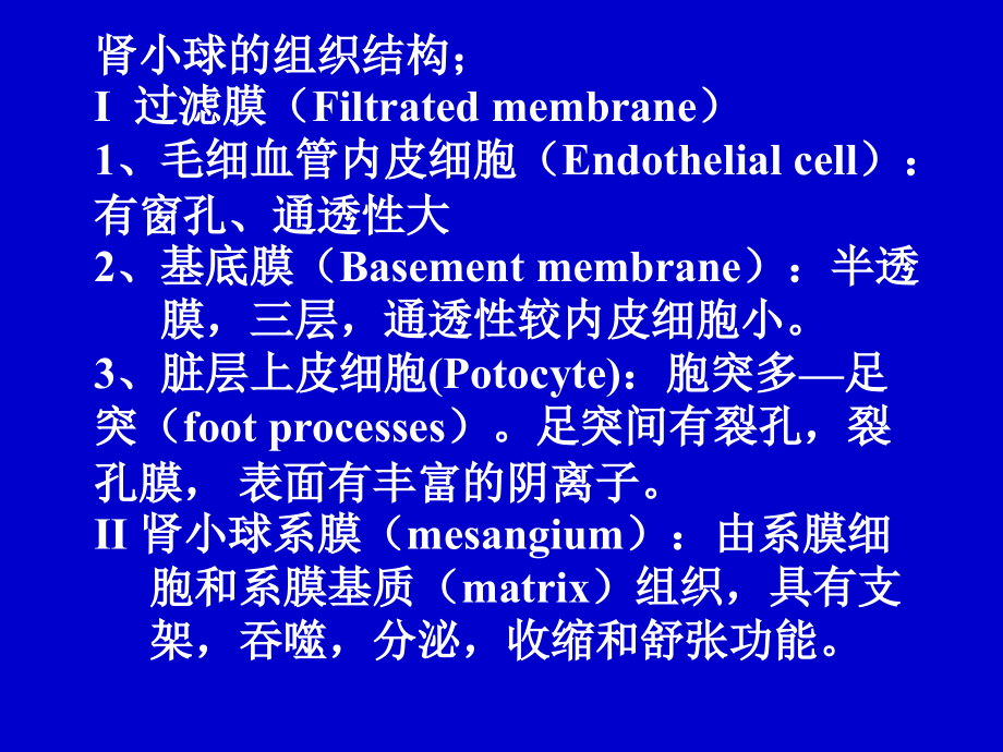 泌尿系统疾病（病理）_第3页