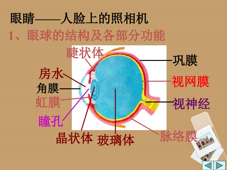 七年级科学下册 2.6透镜和视觉第三课时课件 浙教版_第2页