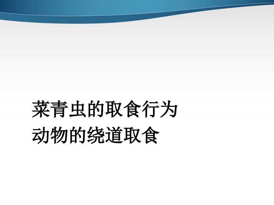 八年级生物上册 《研究一种动物的行为》课件 人教新课标版_第1页