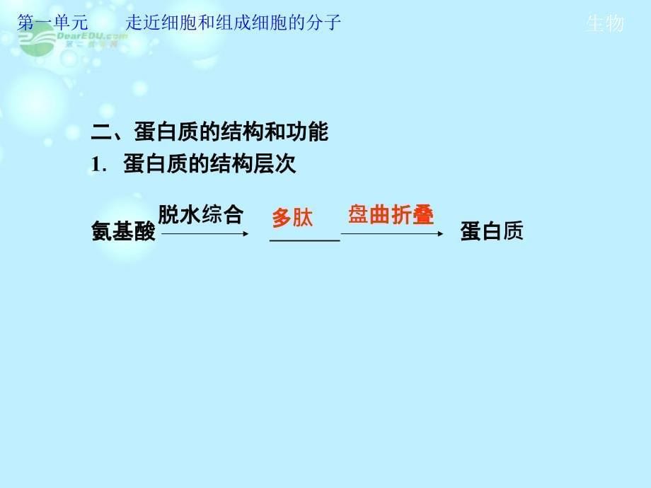 2013高考生物第一轮复习 第一单元第3讲 生命活动的主要承担者——蛋白质教学课件_第5页