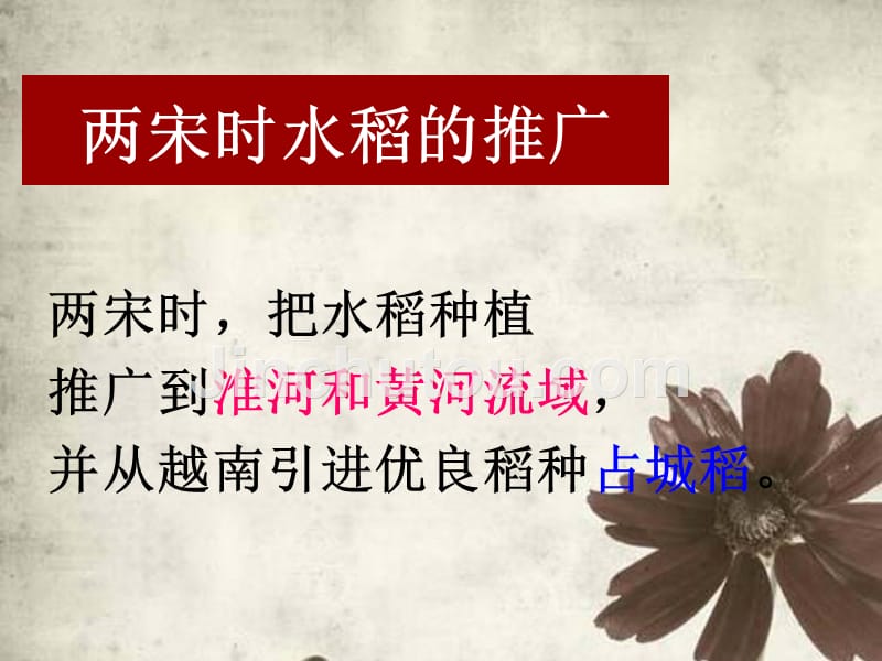 八年级历史上册 第四单元 第三课 第二框传统城市的新气象课件 新人教版_第4页