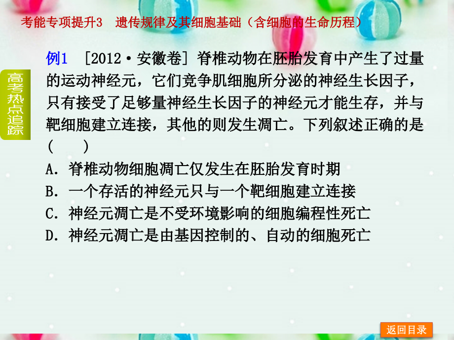 2014届高考生物一轮复习 考能专项提升遗传规律及其细胞基础（含细胞的生命历程）课件 新人教版_第3页