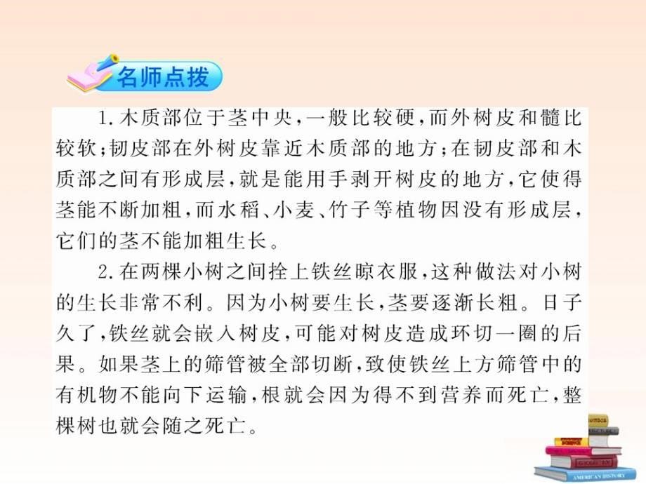 2018版八年级科学下册 《植物体中物质的运输》课件 浙教版_第5页