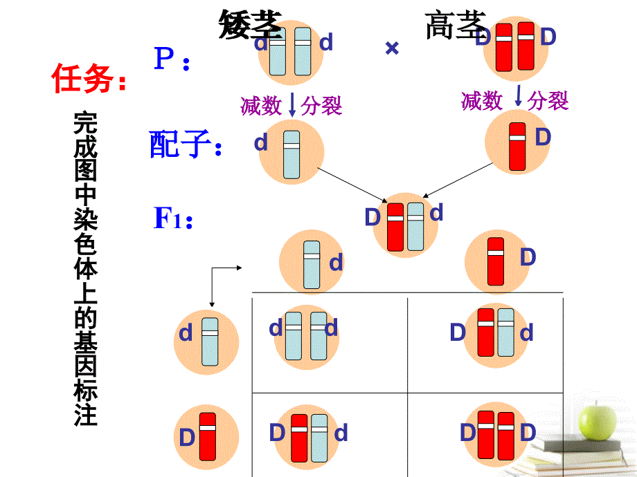 湖南省醴陵二中高中生物《2.2 基因在染色体上》课件（1） 新人教版必修2_第2页