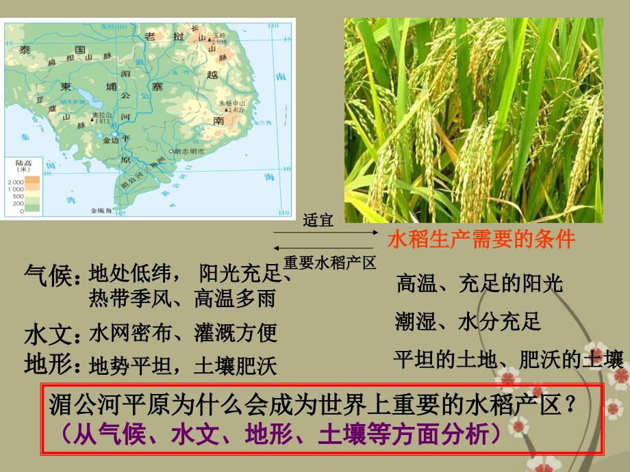 七年级历史与社会上册 第三单元 第一课 第一框 稻作文化的印记课件 人教版_第4页