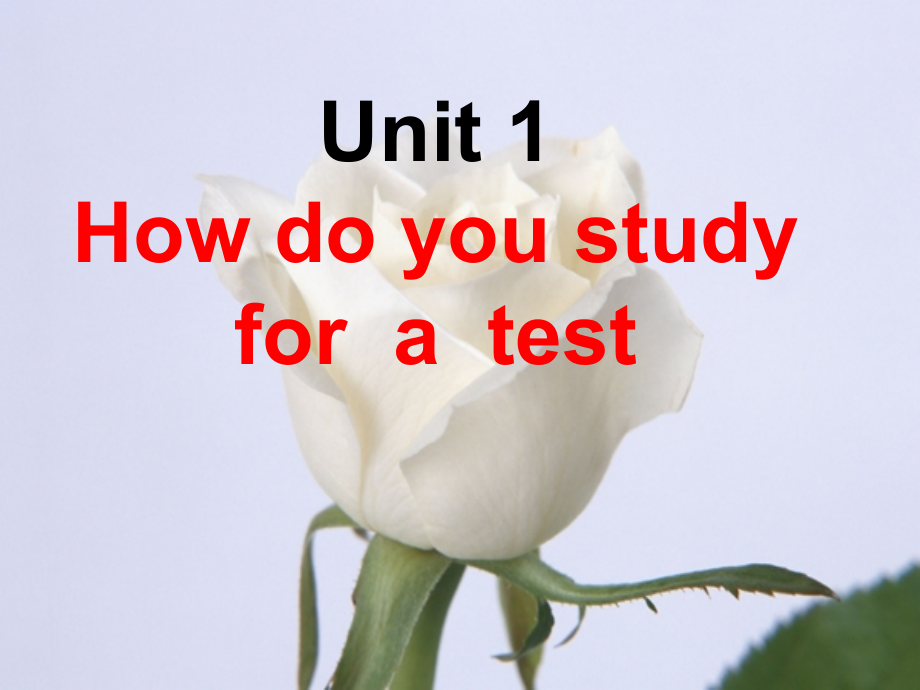 九年级英语 unit 1 how do you study for a test整单元课件 人教新目标版_第1页