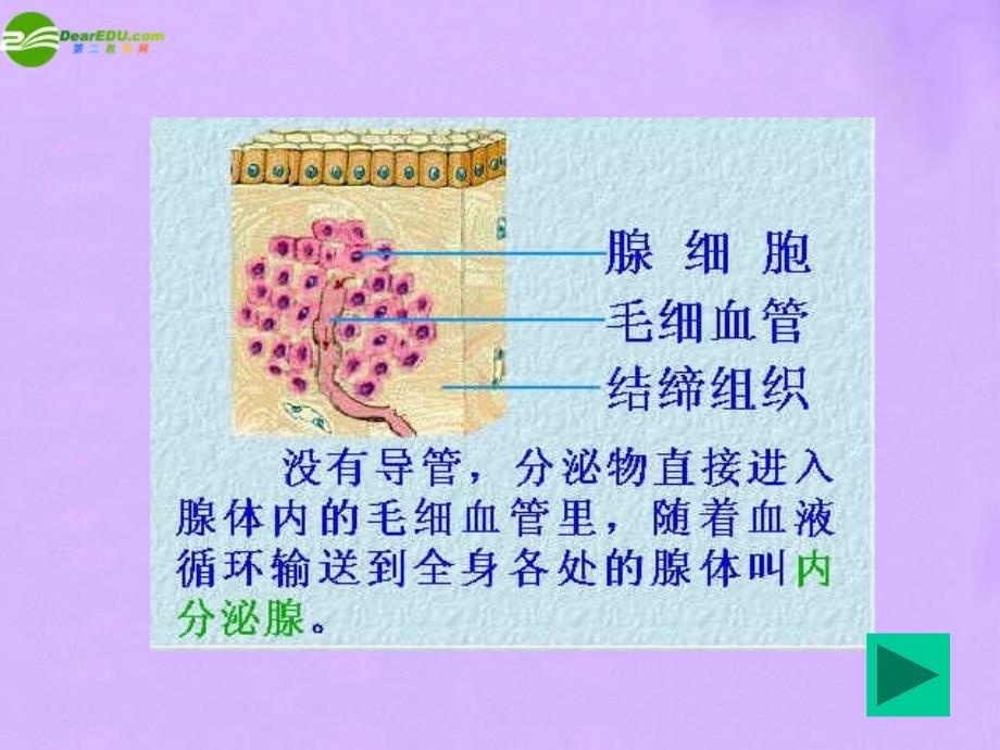 七年级生物下册 第三单元 第五章 第一节 人体的激素调节课件 济南版_第4页