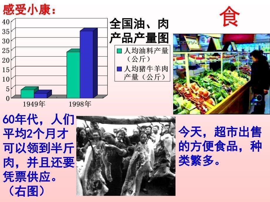 九年级政治 第四课《走向小康》课件 教科版_第5页