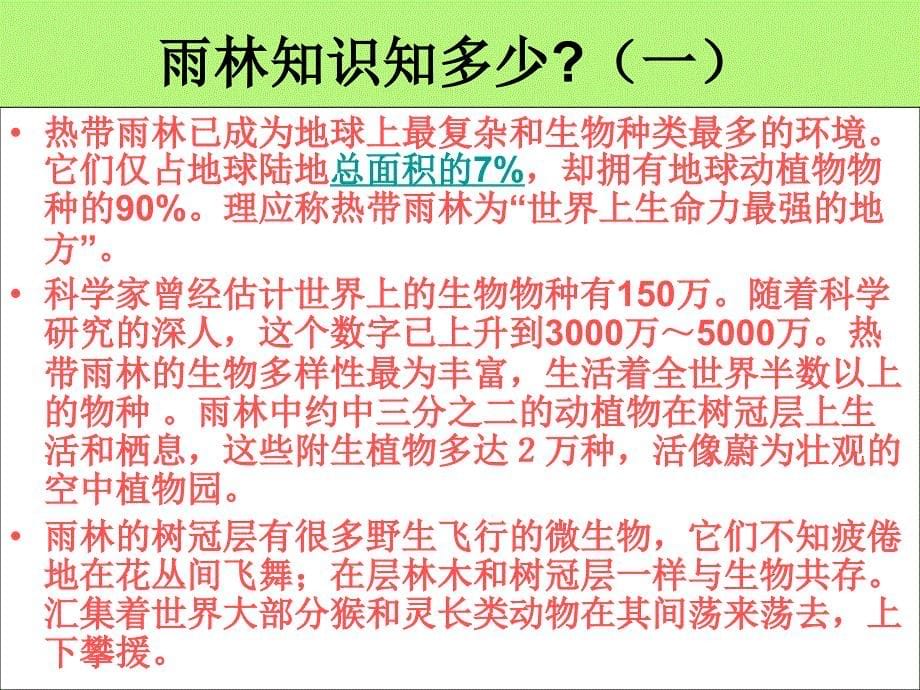 宁夏石嘴市九年级语文上册 雨林的毁灭--世界性灾难课件 _第5页