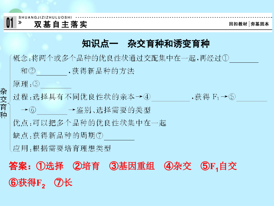 2013高考生物一轮复习 第三单元 第3讲 从杂交育种到基因工程课件 新人教版必修2_第2页