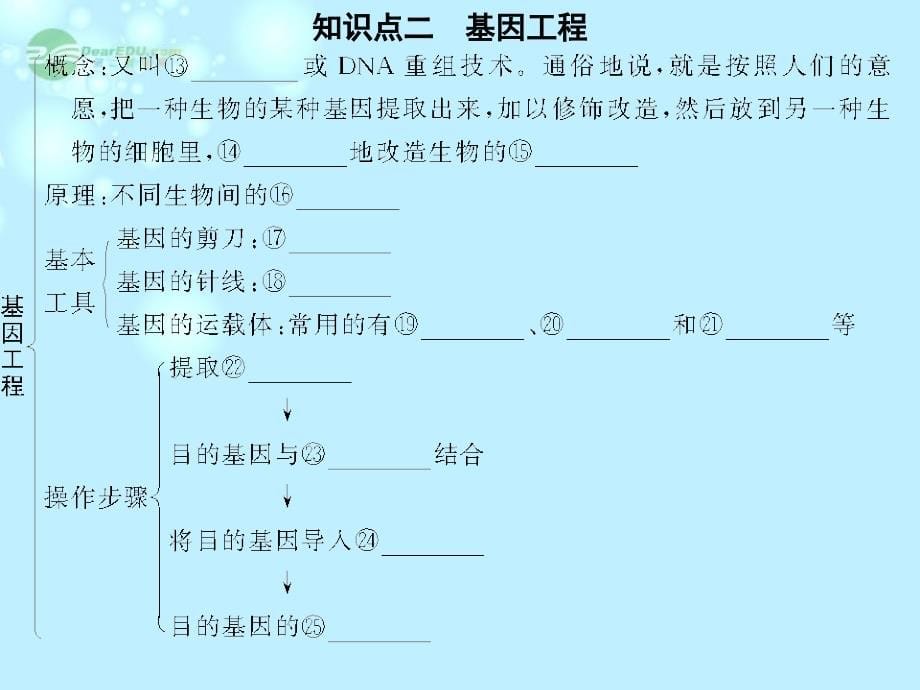 2013高考生物一轮复习 第三单元 第3讲 从杂交育种到基因工程课件 新人教版必修2_第5页