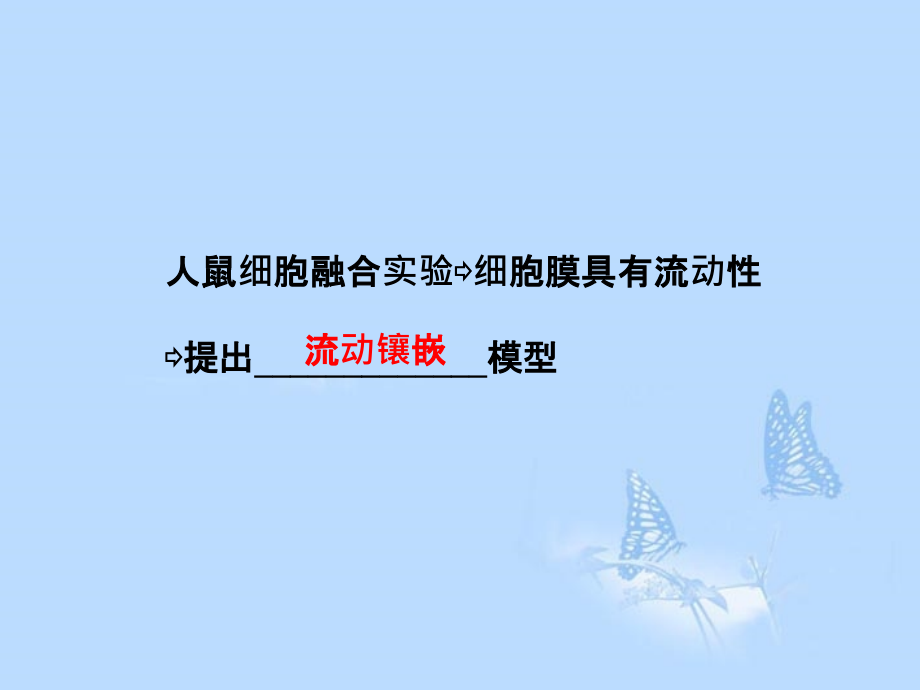 2013届高考生物一轮复习 第四章第2、3节 生物膜的流动镶嵌模型课件 新人教版必修1_第4页