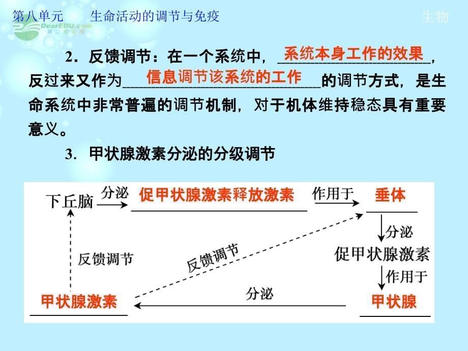 2013高考生物第一轮复习 第八单元第29讲  通过激素的调节　神经调节与激素调节的关系教学课件_第5页