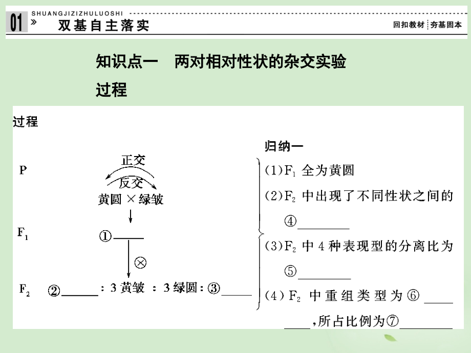 2013高考生物一轮复习资料 第一单元 第2讲孟德尔的豌豆杂交实验（二）课件 新人教版必修2_第2页