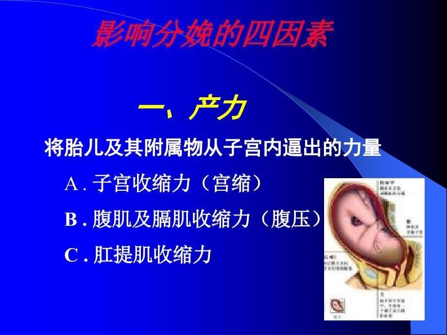 正常分娩 （医学课件）_第5页