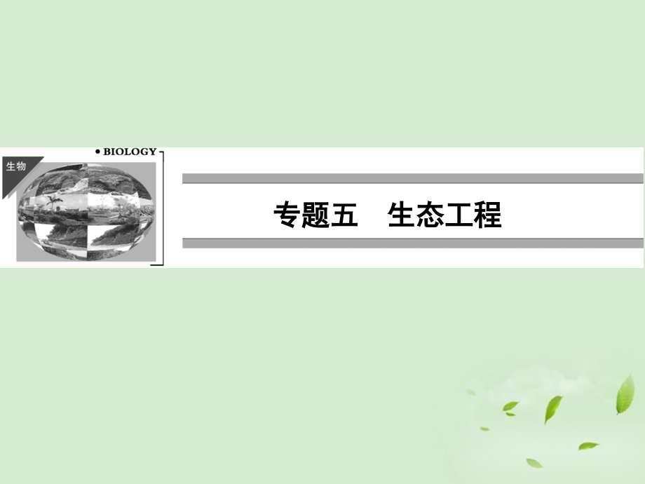 2013高考生物一轮复习资料 专题五生态工程课件 新人教版选修3_第1页