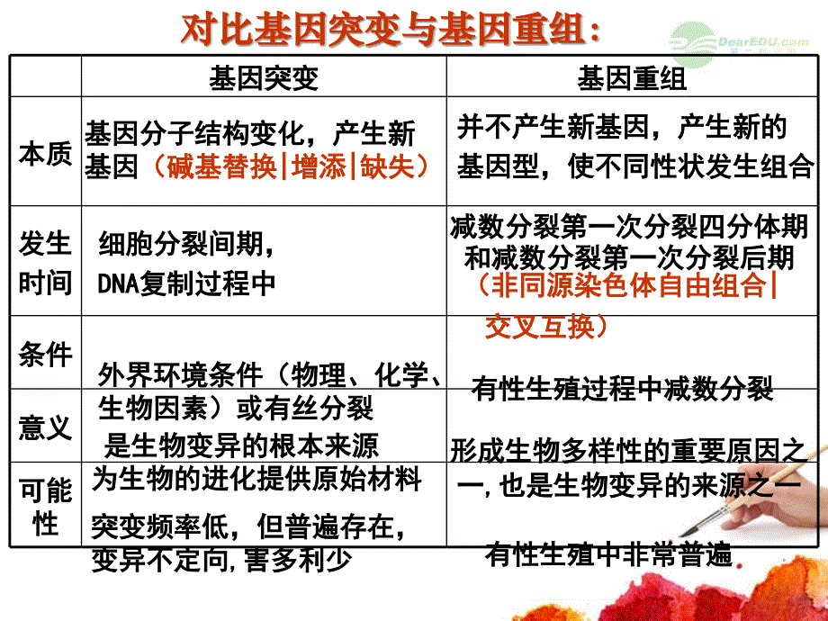 内蒙古自治区赤峰市元宝山区二中高二生物 第二节染色体变异课件_第1页