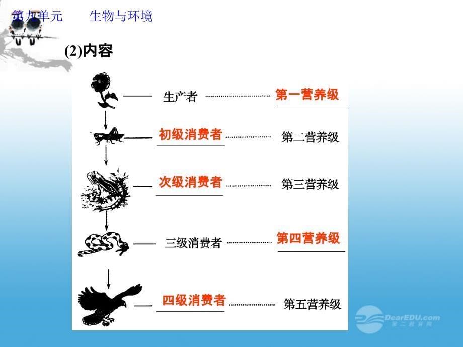 2013高考生物第一轮复习 第九单元第34讲 生态系统的结构教学课件_第5页