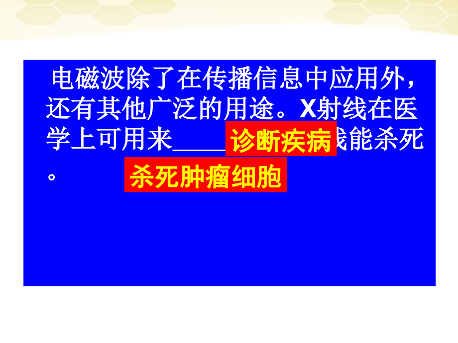 七年级科学下册 对环境的察觉复习课件 浙教版_第2页