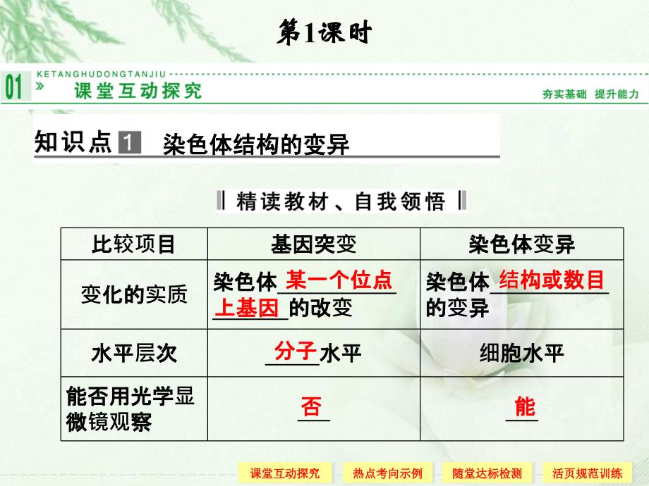 2013年高中生物 5-2-1染色体变异同步课件 新人教版必修2_第3页