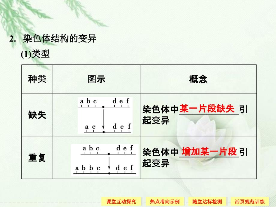 2013年高中生物 5-2-1染色体变异同步课件 新人教版必修2_第4页