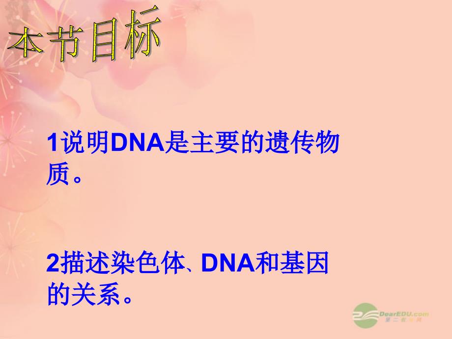 15.1 DNA是主要的遗传物质精品 课件2 (苏教版八年级上）.ppt_第2页