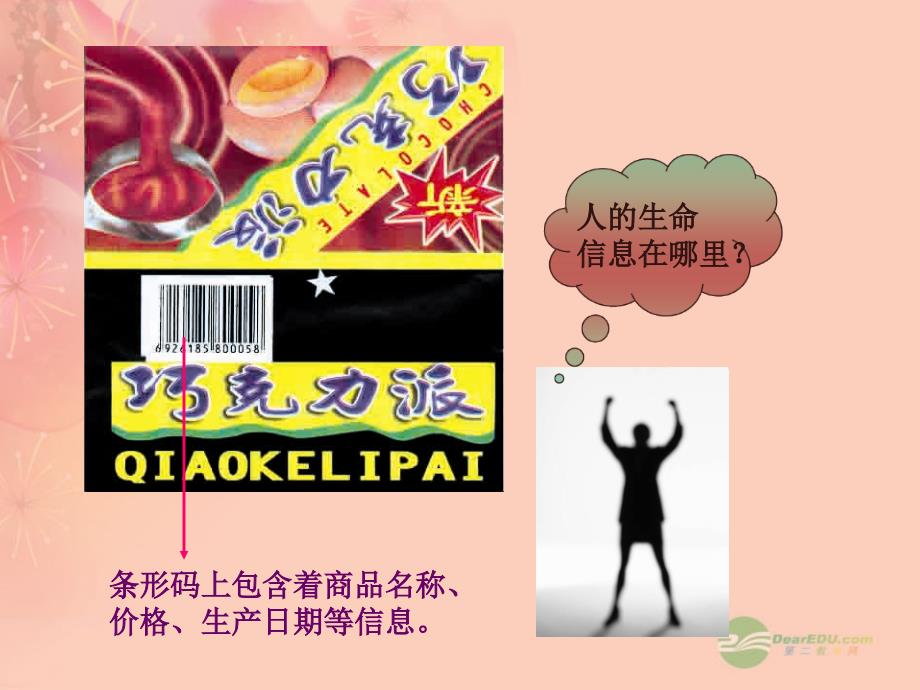 15.1 DNA是主要的遗传物质精品 课件2 (苏教版八年级上）.ppt_第3页