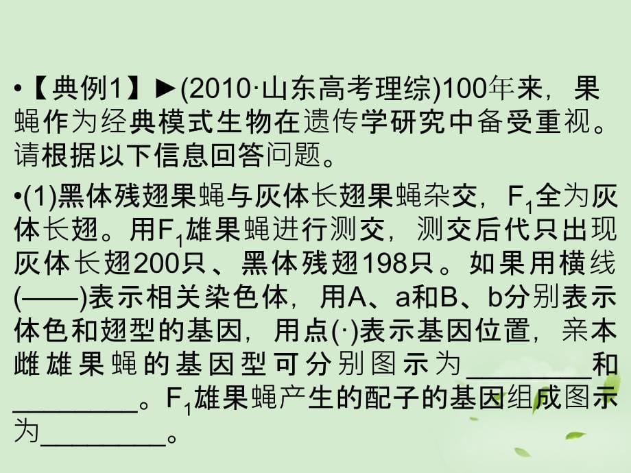 2013高考生物一轮复习资料 疑难聚焦4课件_第5页