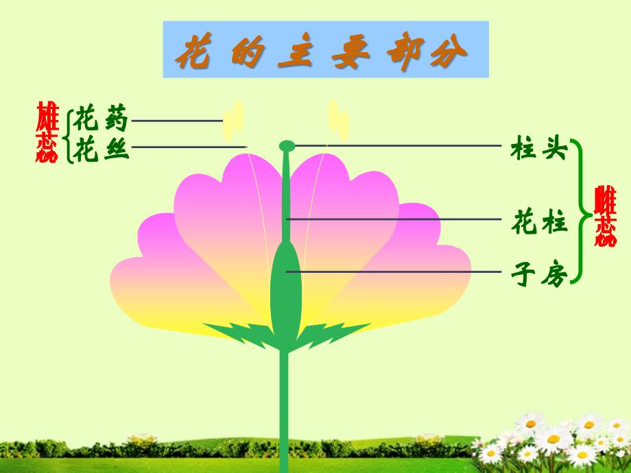 吉林省油田第二中学八年级生物《植物的生殖》课件_第3页