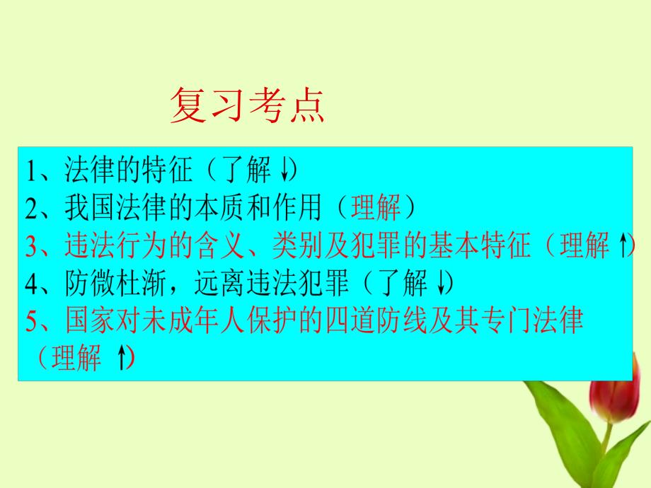 江苏省南京市谷里初级中学2012届九年级政治《知法 守法》复习课件 人教新课标版_第2页