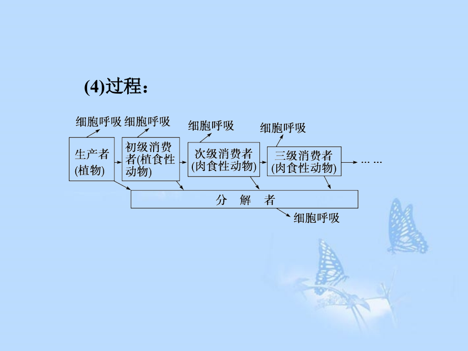 2013届高考生物一轮复习 第五章第2、3节 生态系统的能量流动 生态系统的物质循环课件 新人教版必修3_第4页