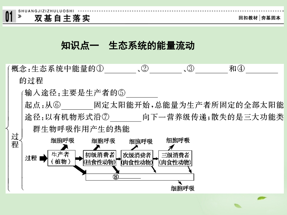 2013高考生物一轮复习资料 第二单元 第4讲生态系统的功能课件 新人教版必修3 _第2页