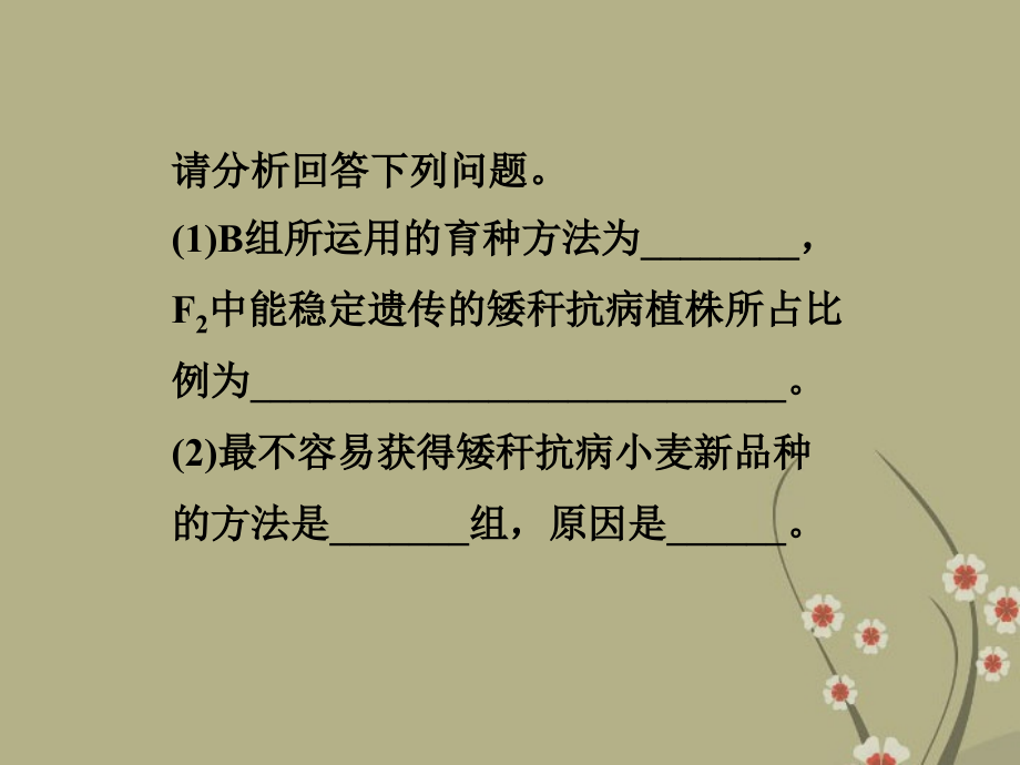 2013届高考生物一轮复习 第七单元 生物的变异、进化、遗传与人类健康 单元综合提升课件 浙科版_第4页