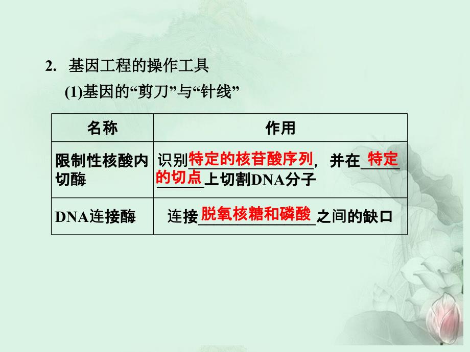 湖南省郴州市第三完全中学高中生物第六章《基因工程及其应用》课件 人教版必修2_第4页