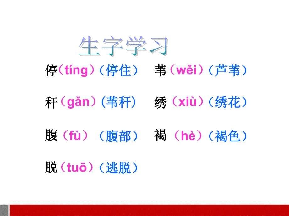 三年级语文上册 翠鸟3课件 北师大版_第5页