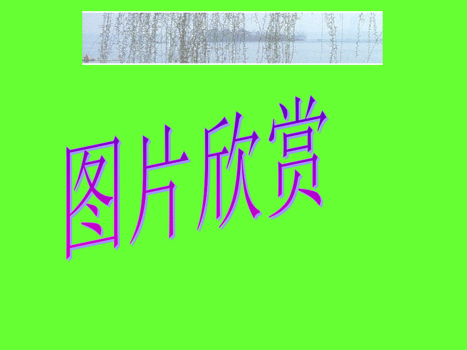 内蒙古乌拉特中旗二中九年级数学下册《26.1二次函数》课件 人教新课标版_第3页