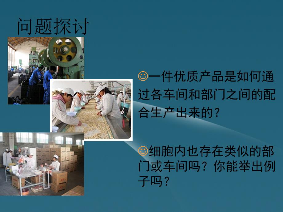 陕西省汉中市高一生物《32细胞器--系统内的分工合作》课件 新人教版_第2页