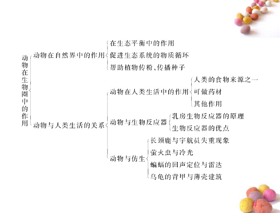 2018年八年级生物上册 第五单元 第三章 动物在生物圈中的作用 章末知识提升 配套课件 人教新课标版_第3页